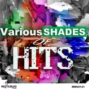 Various Shades Of Hits