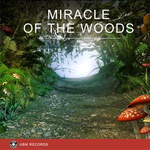 Miracle of the Woods