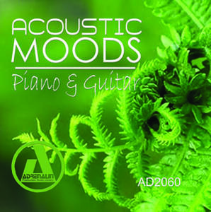 Acoustic Moods - Piano & Guitar