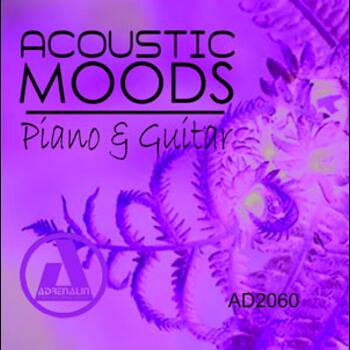 Acoustic Moods - Piano & Guitar