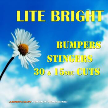 Lite Bright Bumpers