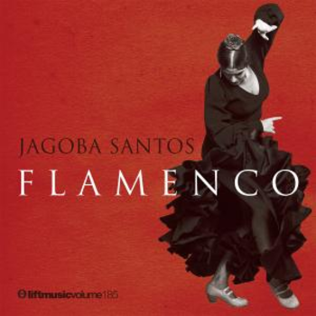 Jagoba Santos - Flamenco