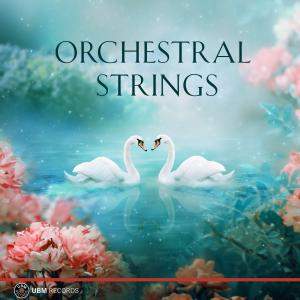 Orchestral Strings