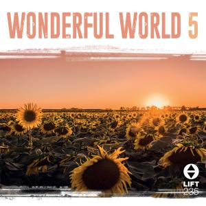 Wonderful World 5