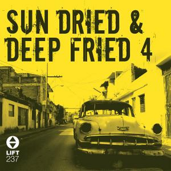 Sun Dried & Deep Fried 4
