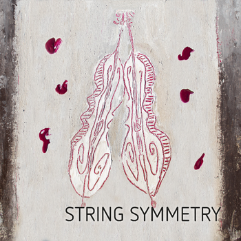  String Symmetry