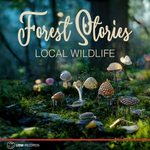 Forest Stories - Local Wildlife