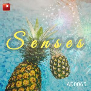 SENSES