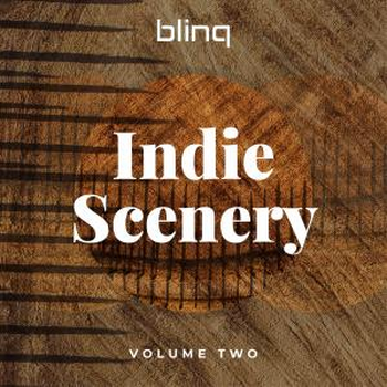 blinq 027 Indie Scenery Vol 2