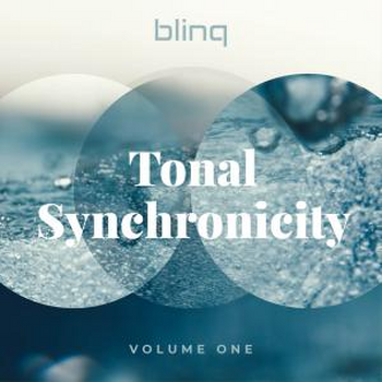 blinq 040 Tonal Synchronicity